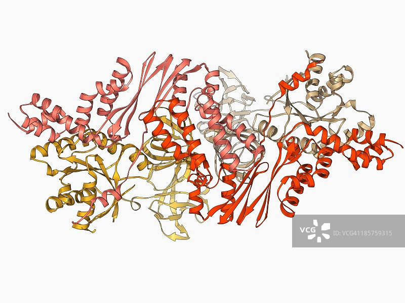 延伸因子Tu和Ts图片素材