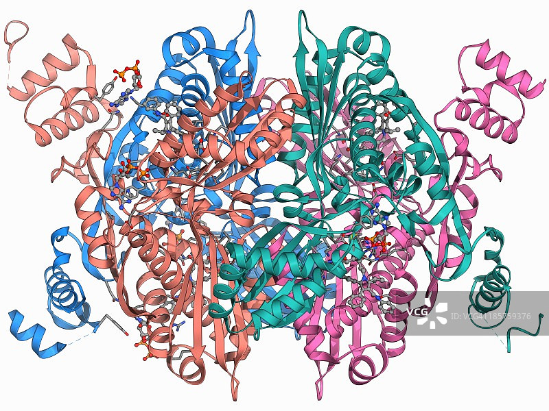 产生胆固醇的酶和他汀类药物图片素材