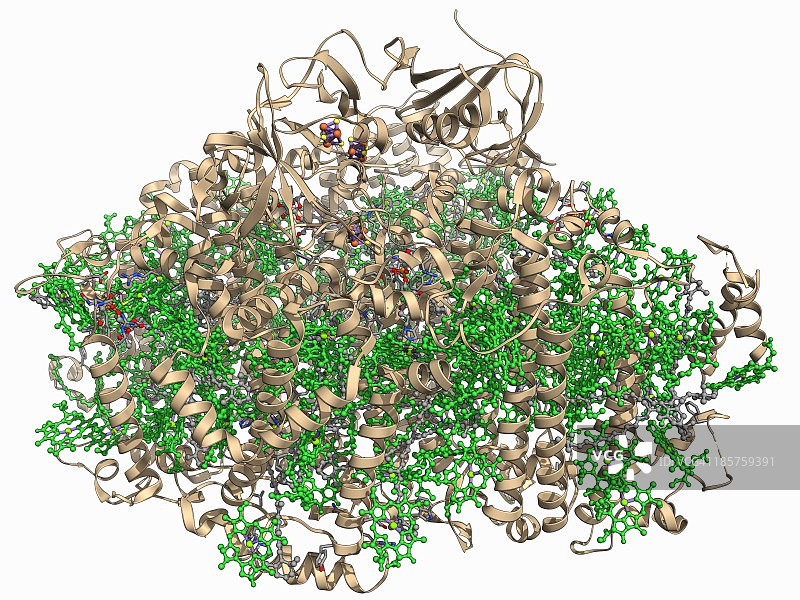 光系统I分子图片素材