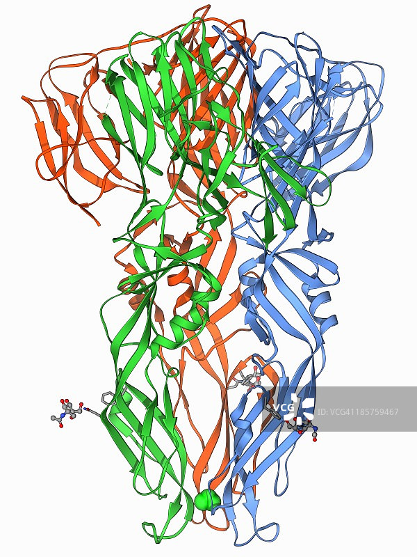 登革热病毒表面蛋白分子图片素材