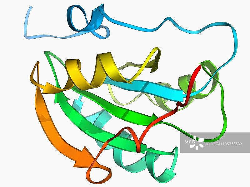 猴病毒SV40大T抗原图片素材