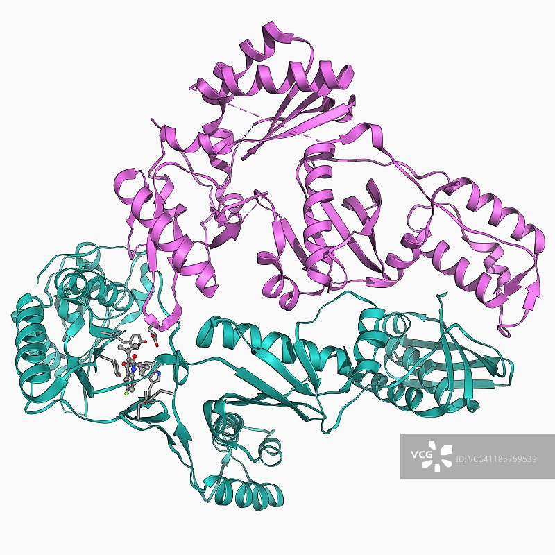 逆转录酶和抑制剂图片素材