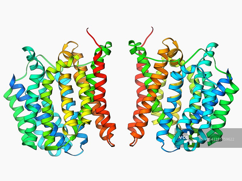 多药转运蛋白分子图片素材