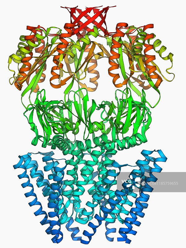 MscS离子通道蛋白结构图片素材