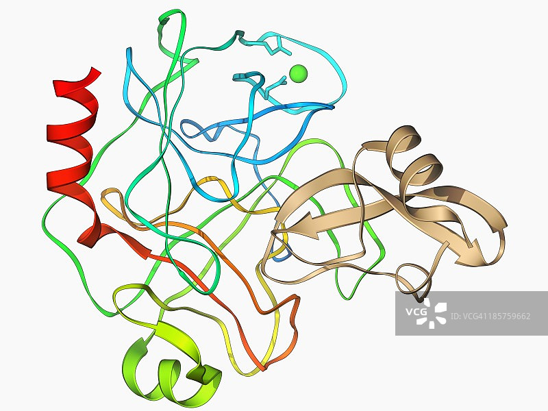 含有抑制剂的胰蛋白酶分子图片素材