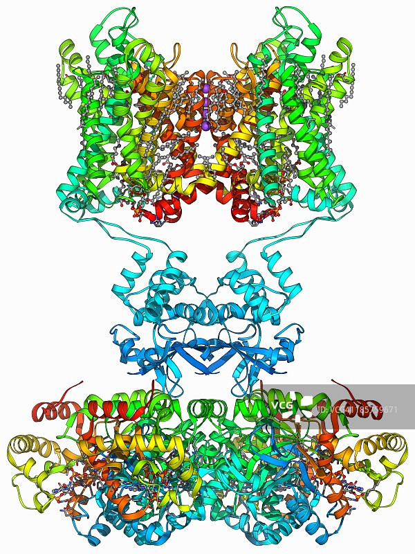 电压门控钾离子通道图片素材