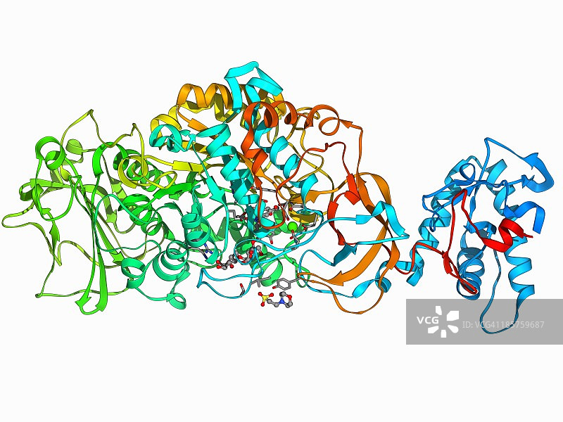 细菌生物膜酶图片素材