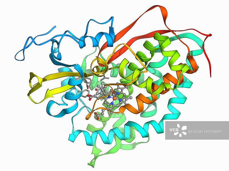 细胞色素P450复合物图片素材