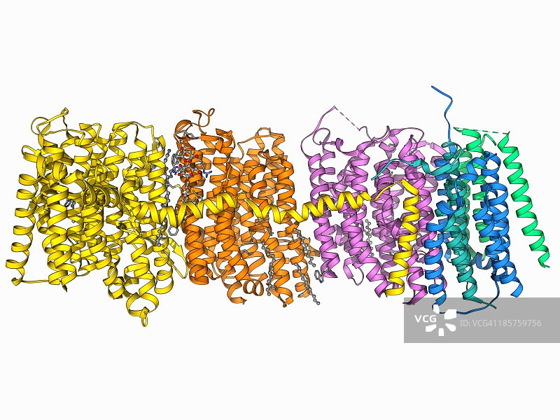 氧化还原酶复合物图片素材