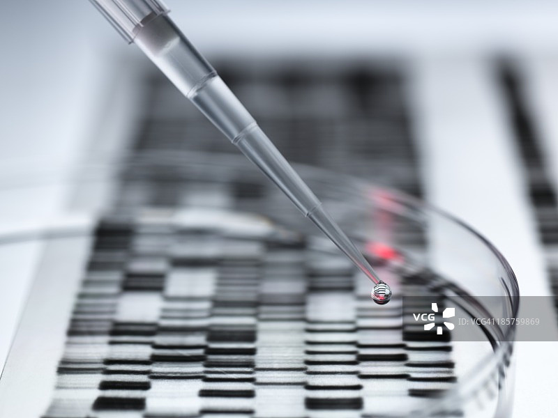 遗传研究图片素材