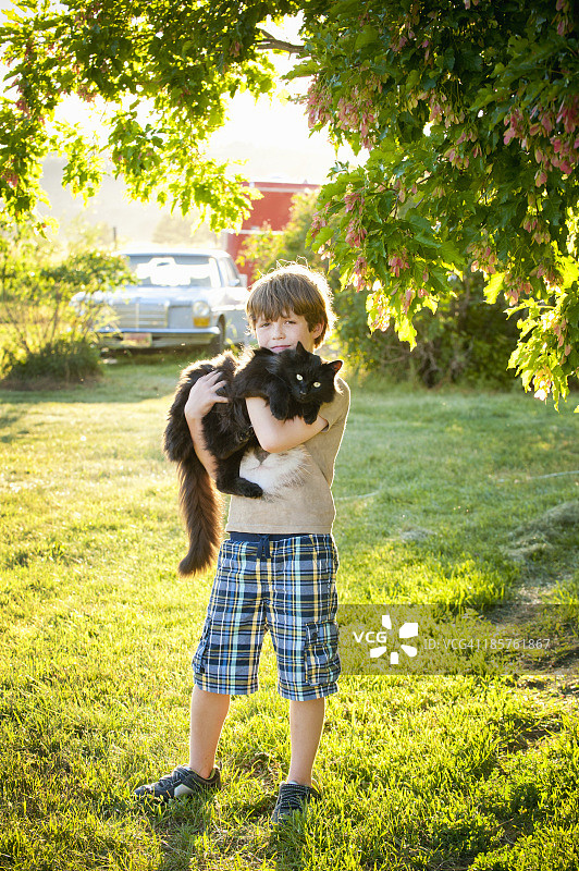 午后阳光下抱着猫的小男孩图片素材