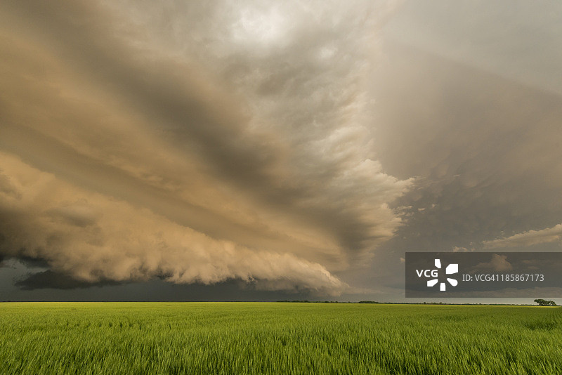 金色置物架图片素材