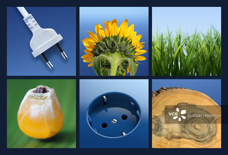 生物质能源多图图片素材