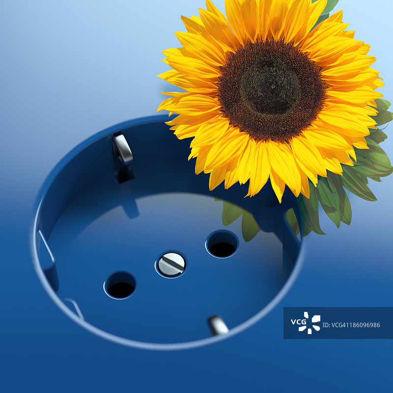 带向日葵的蓝色插座图片素材