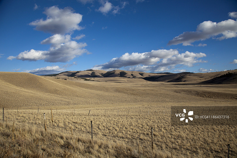 金色草原和云彩图片素材