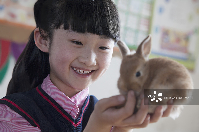 女学生在教室里抱着宠物兔图片素材