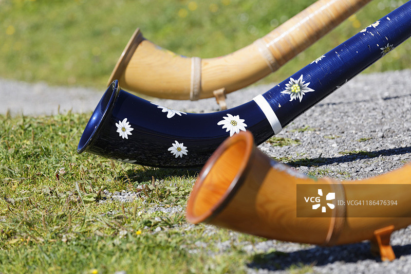 奥地利福拉尔贝格州：布雷根茨森林Diedamskopf山上的阿尔卑斯长号图片素材