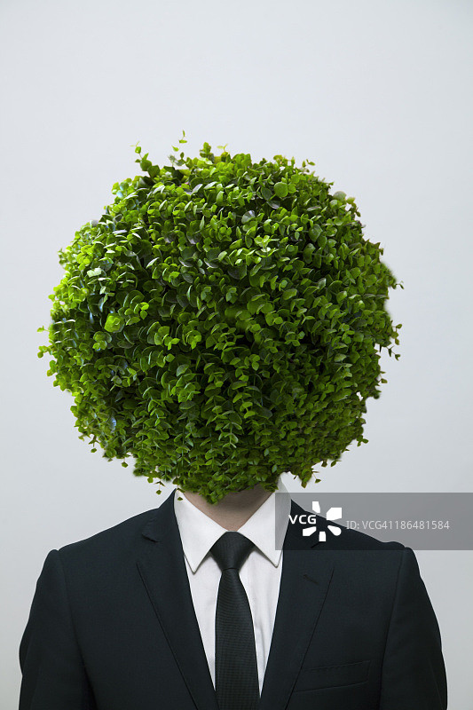 面部被圆形灌木遮挡的商人，工作室拍摄图片素材