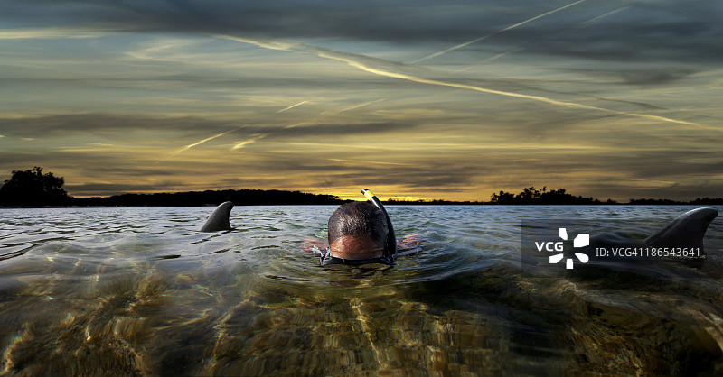 与鲨鱼一起浮潜图片素材