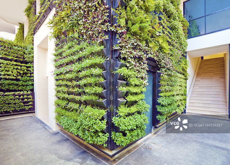 办公楼的垂直绿化墙面转角图片素材