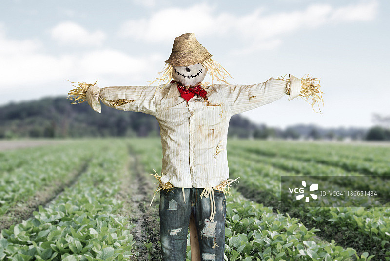 保护蔬菜农作物田地的稻草人图片素材