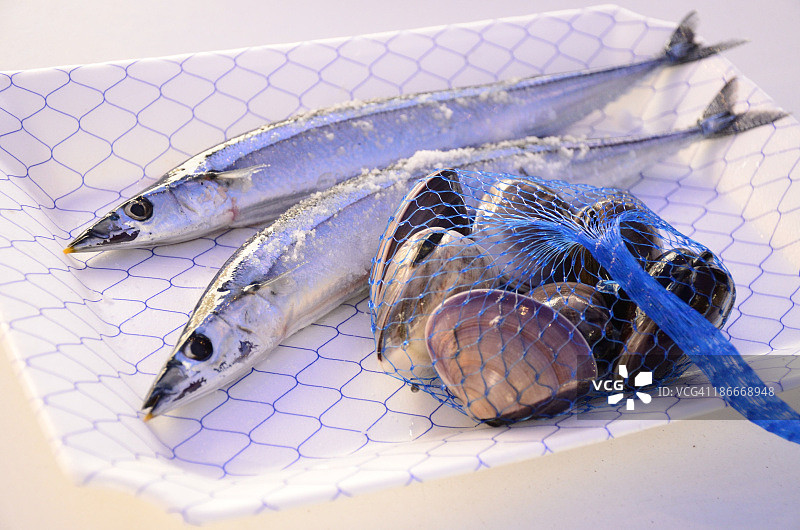 秋刀鱼和蛤蜊图片素材