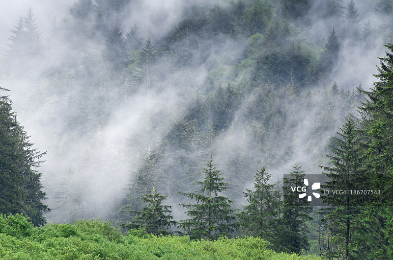 哥伦比亚河峡谷图片素材