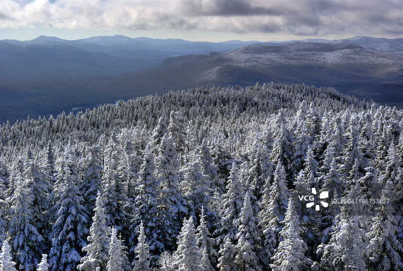 纽约阿迪朗达克蓝山顶上的雪树图片素材