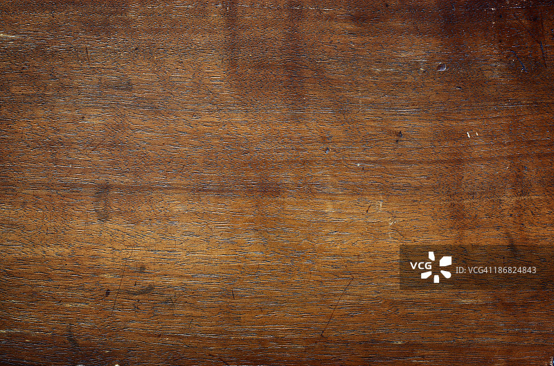 老木的背景图片素材