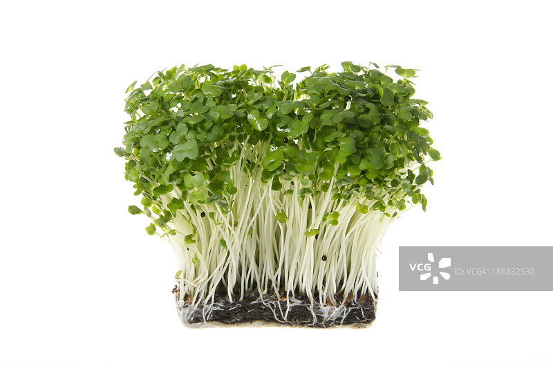 准备开吃图片素材