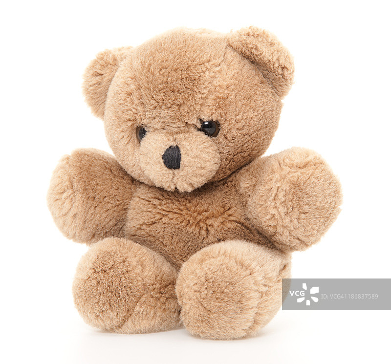 泰迪熊图片素材