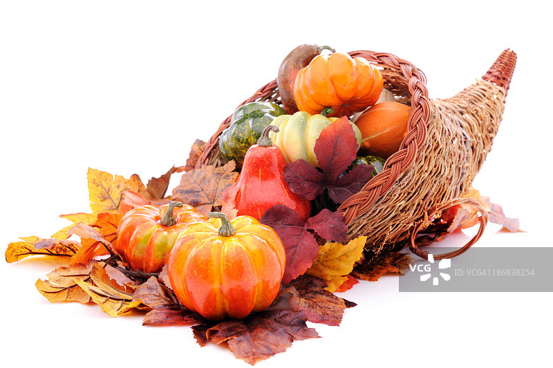 装满南瓜的聚宝盆图片素材