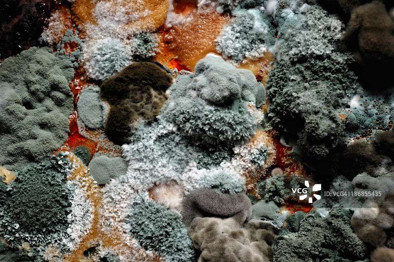 彩色模具图片素材