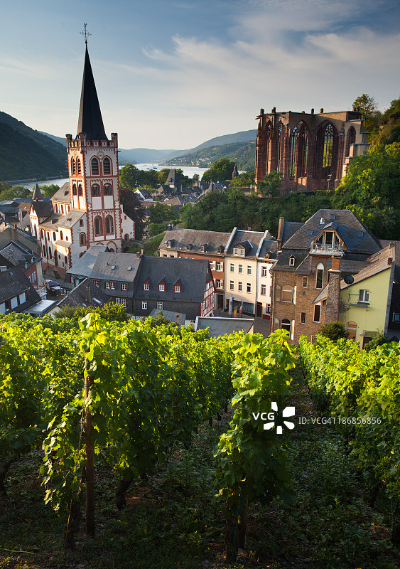巴赫拉赫葡萄园与小镇的晨光图片素材