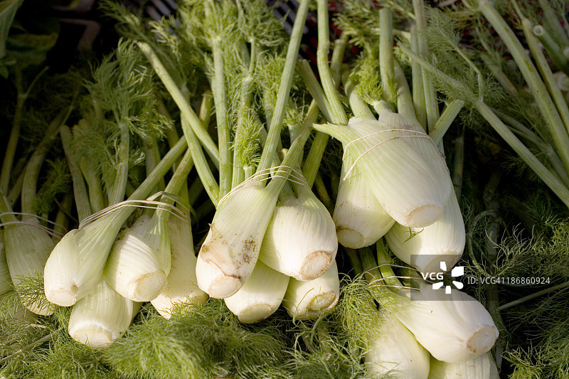 农贸市场：茴香图片素材