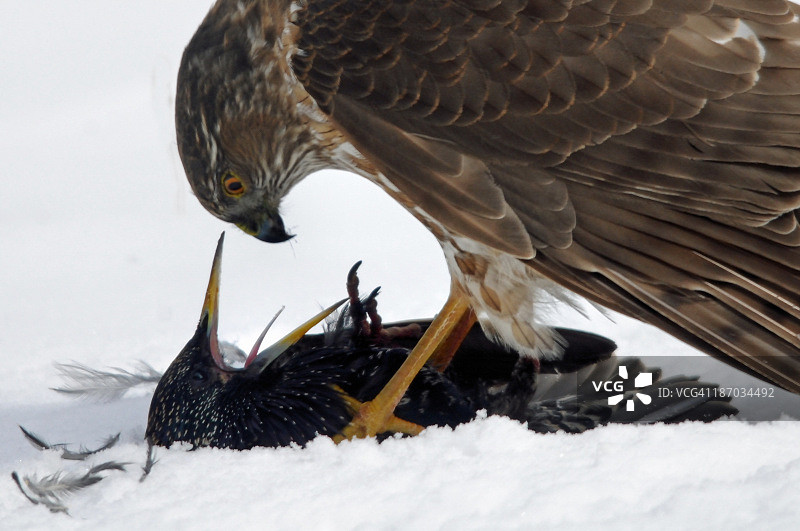 不是恋人的拥抱图片素材