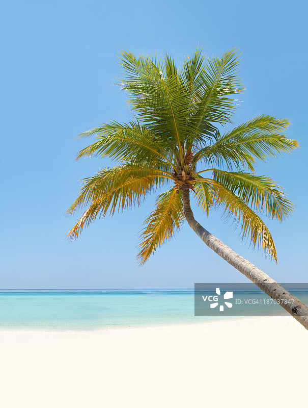 吹着海风图片素材