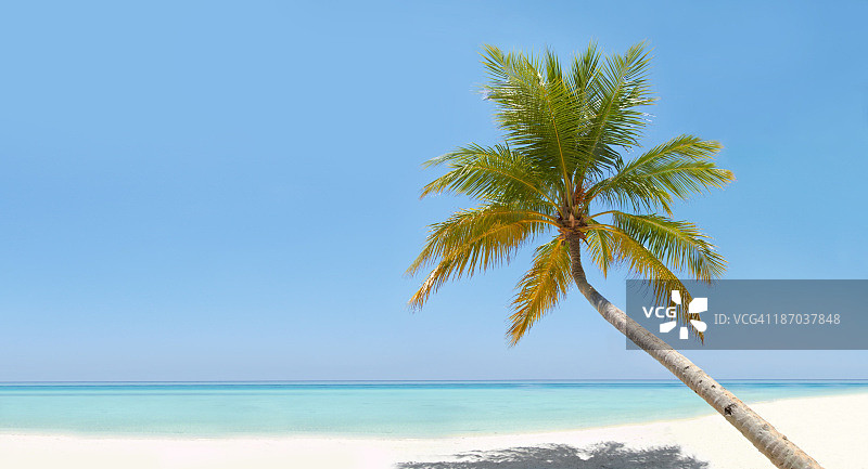 自然渐变图片素材