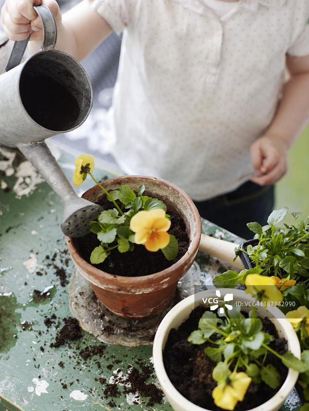 女孩在瑞典种植盆栽图片素材