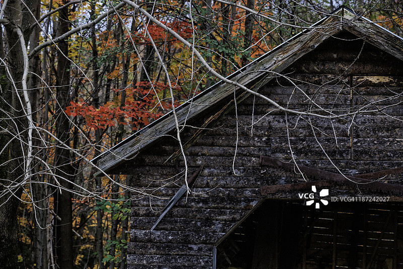 魁北克省北哈特利秋景图片素材