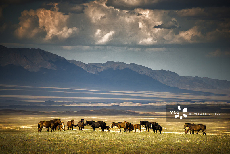 哈萨克斯坦的某处图片素材