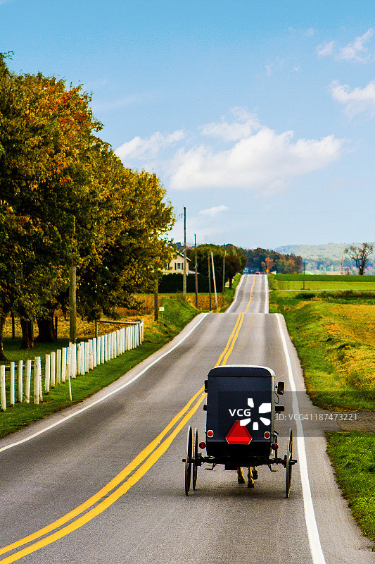 乡村道路上的阿米什马车图片素材