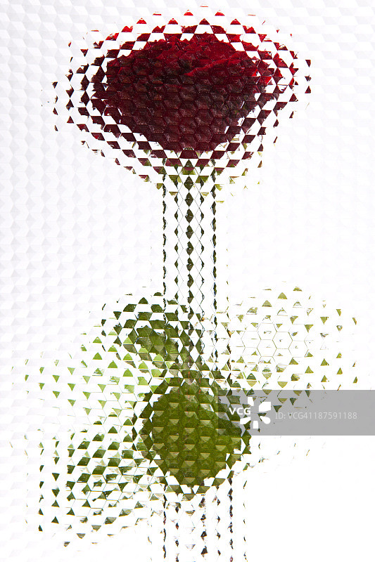 六边形图案的斜面玻璃后面的玫瑰图片素材