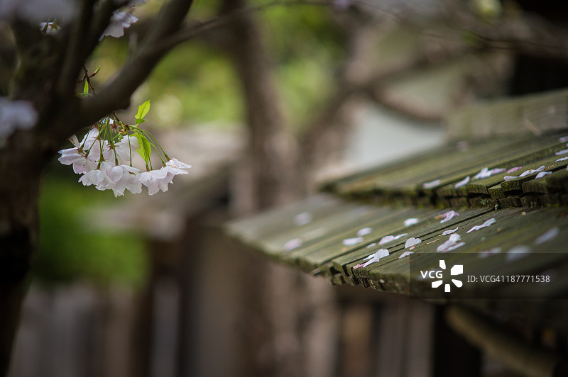 安静的下午图片素材