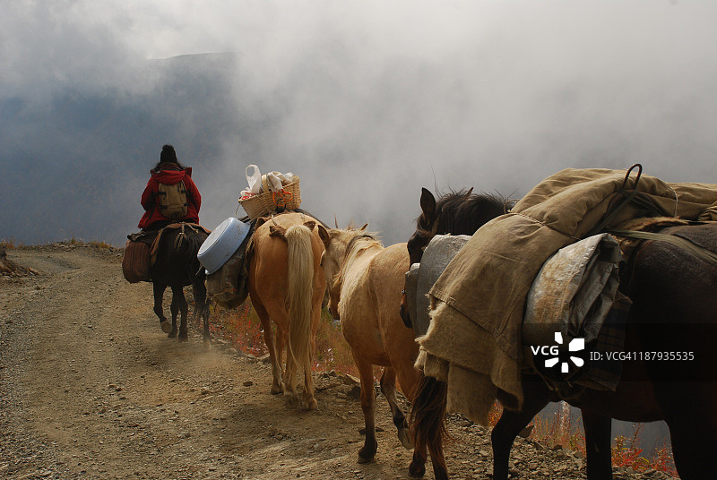 图舍季马群图片素材