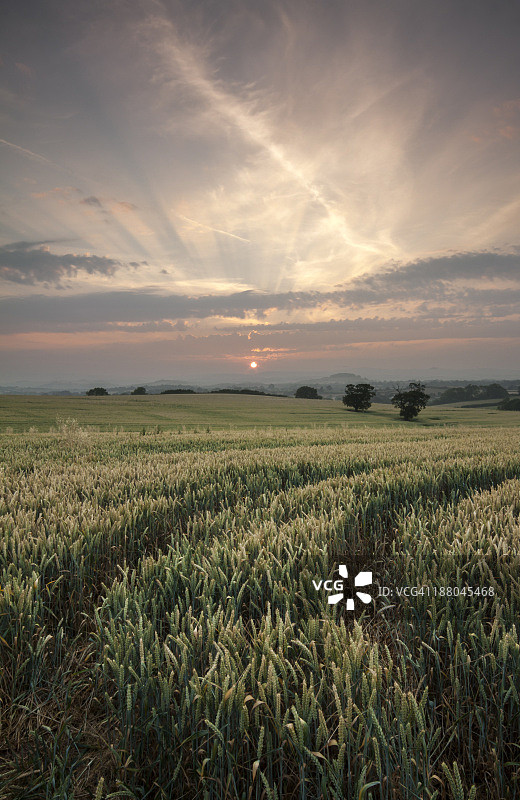 马尔顿田野图片素材