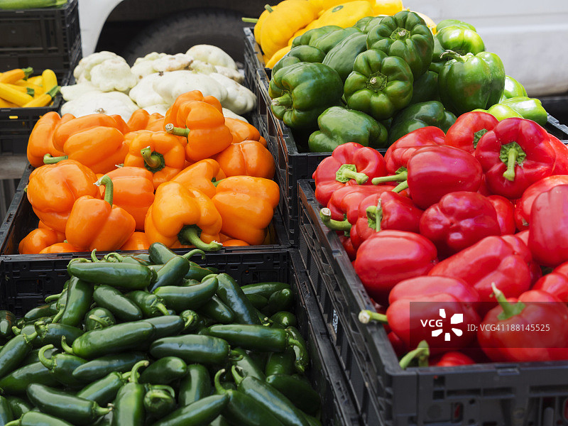 新鲜采摘的辣椒图片素材