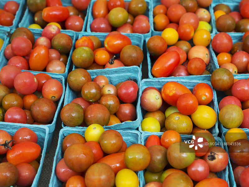 待售的传家宝番茄图片素材