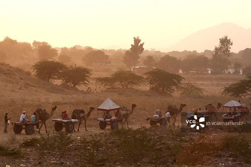 游客在普什卡集市上乘坐骆驼车图片素材