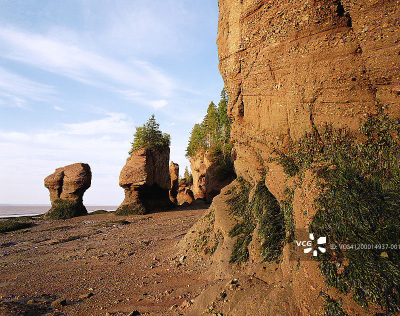加拿大新不伦瑞克省霍普韦尔角“花盆”岩石黎明景观图片素材
